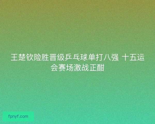 王楚钦险胜晋级乒乓球单打八强 十五运会赛场激战正酣